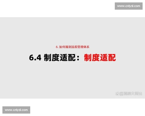 体育赛事全流程管理与高效执行策略研究与实践探索 体育赛事全流程管理与高效执行策略研究与实践探索